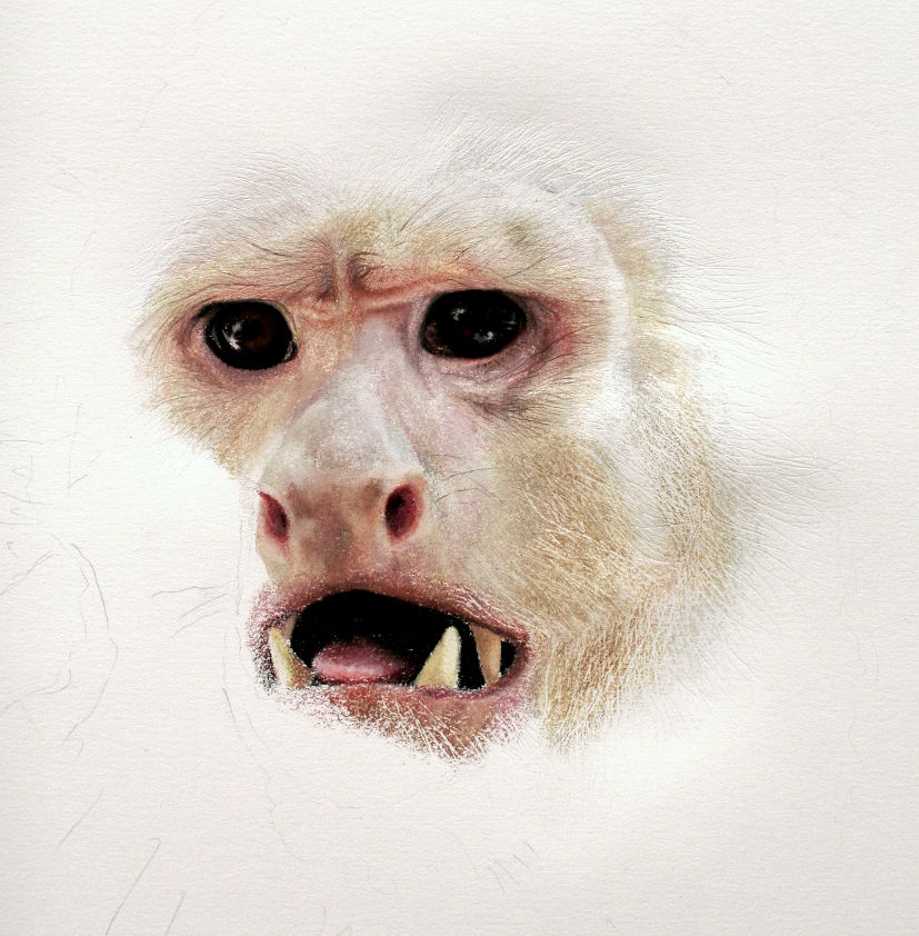 Chalk pastels on paper, 2012, 
work in progress