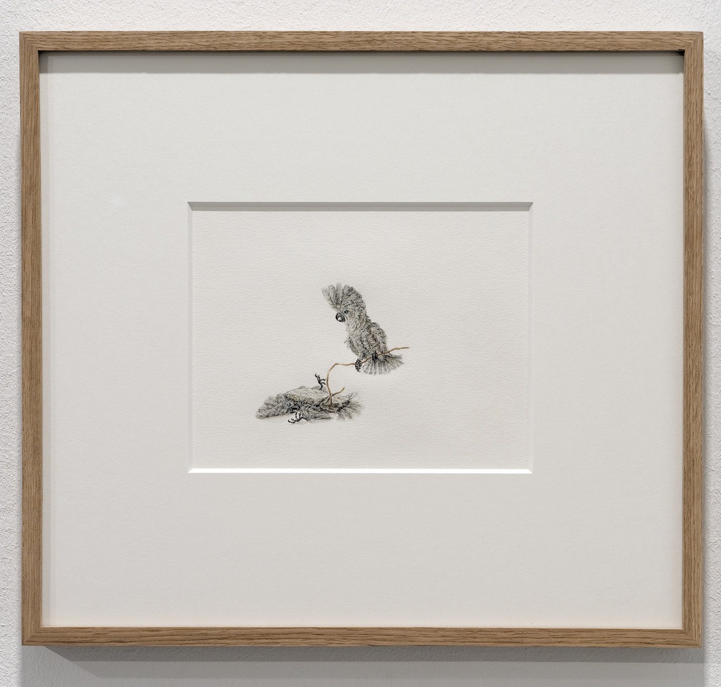 Schrödinger´s Bird /3, chalk pastels on paper, frame: oak, museum glas, Mirogard, 14cm x 18cm, 2016 (miniature). Photograph: Photograph: © Andreas Baudisch, Galerie Gerken