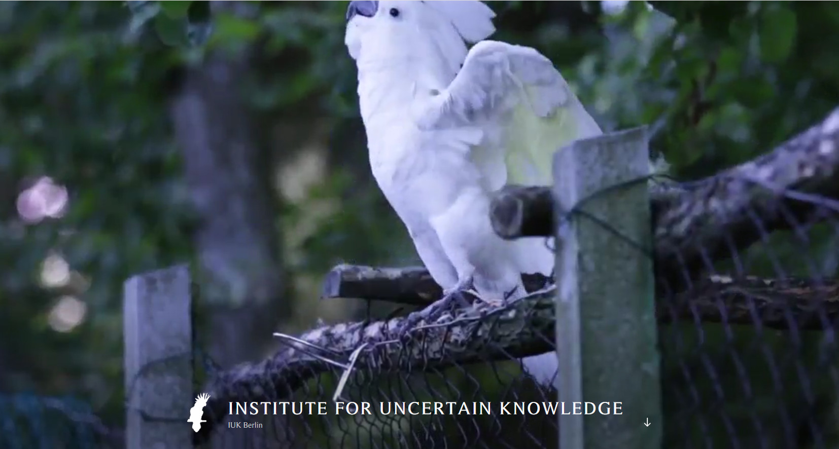 Institute for Uncertain Knowledge