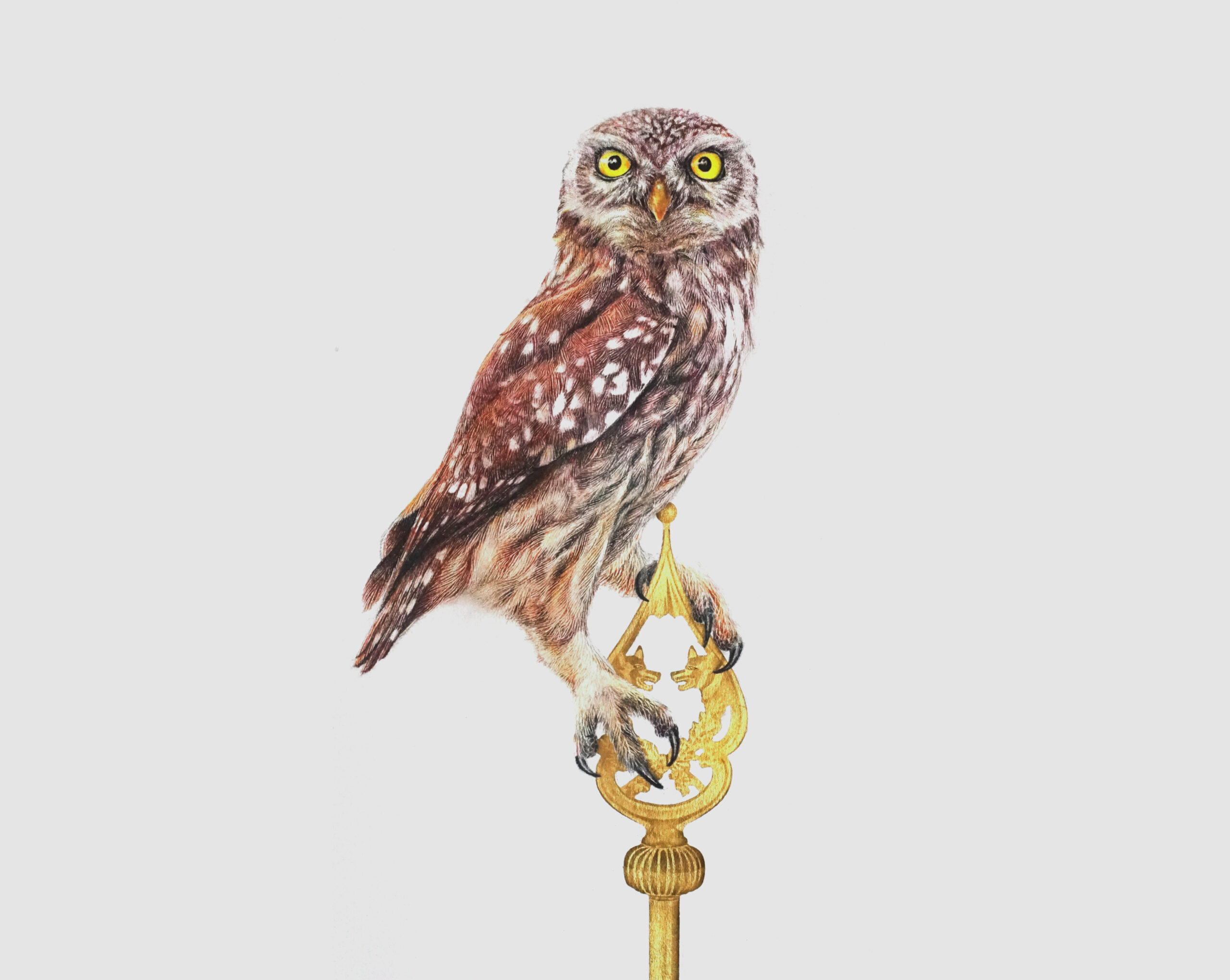 Diederich (Witness I) - Festivity at Humboldt - Pastell chalk, crayon on paper, ink on gold leaf, ~40 x 37cm, 2021