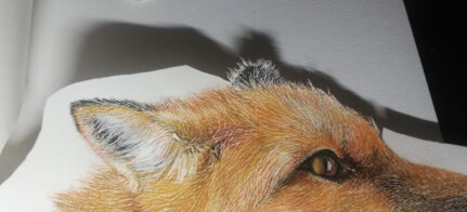 Detail of a cutout chalk pastel drawing